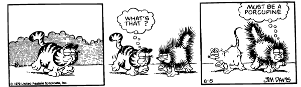 FunPic